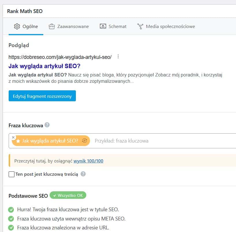 jak wyglada artykul seo
